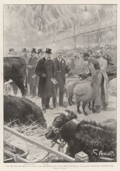 The King and the Prince of Wales at the Smithfield Club Cattle Show, 9 December, His Majesty Inspecting Champion Sheep by G.S. Amato
